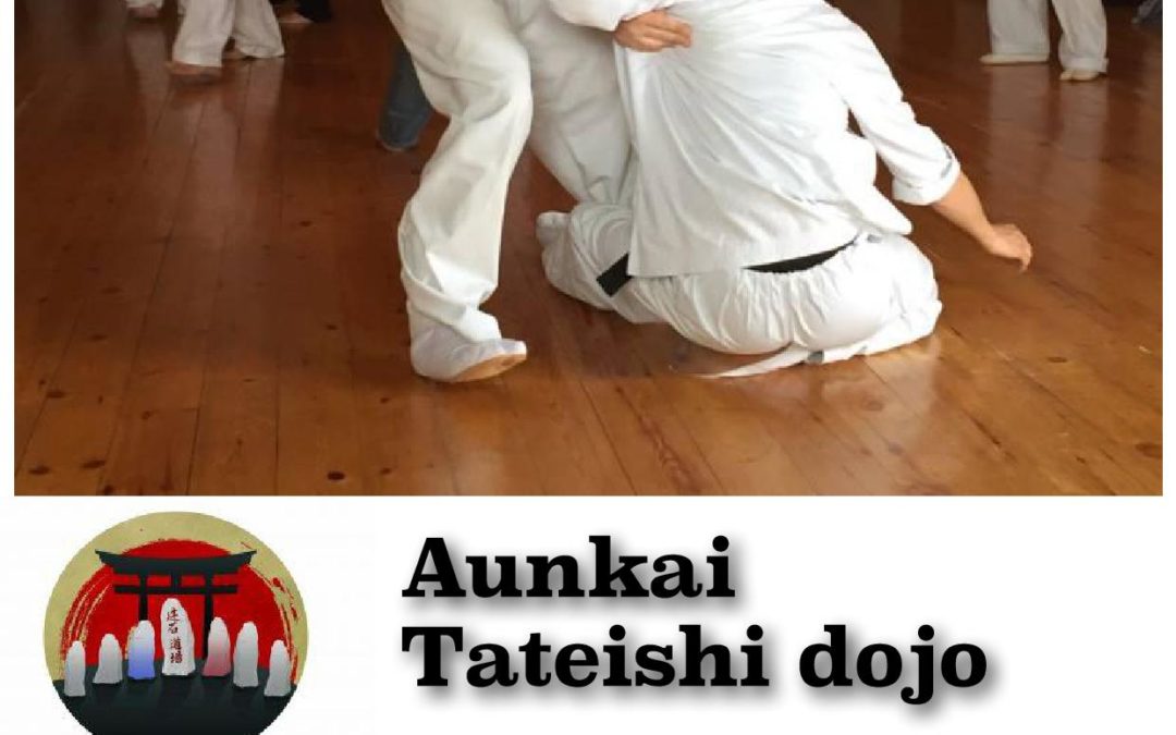 Bujutsu Aunkai au Tateishi dojo.