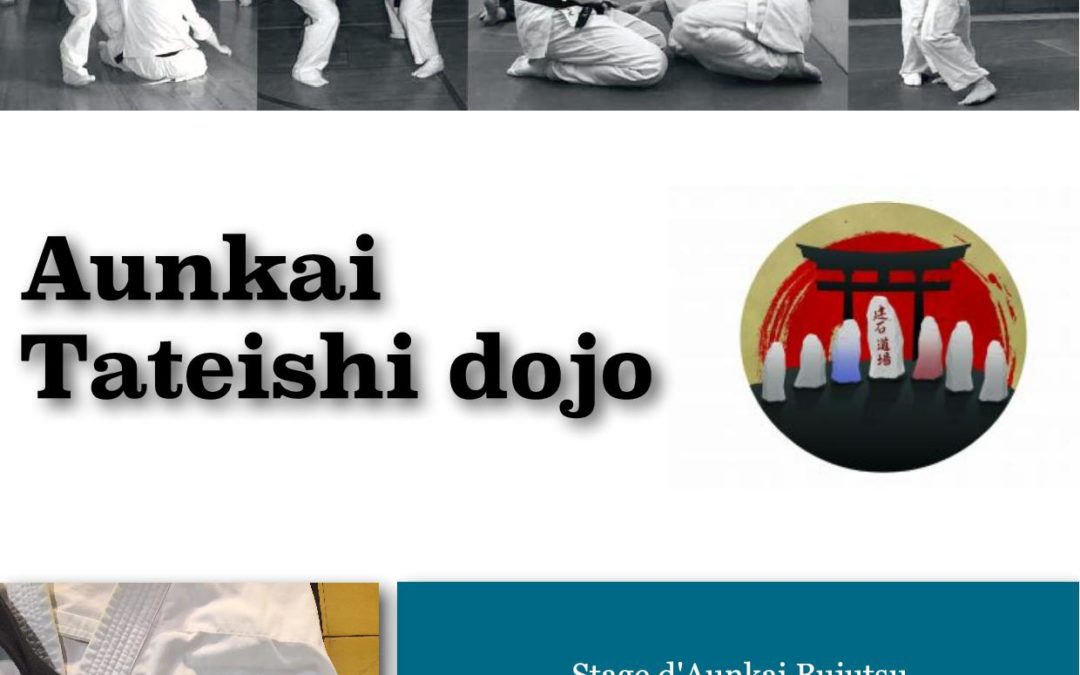 Bujutsu Aunkai au Tateishi Dojo