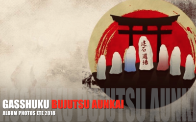 Aunkai: retour sur les Gasshuku d’été 2018.
