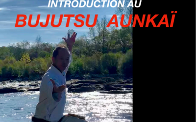 Le Livre sur Bujutsu Aunkai