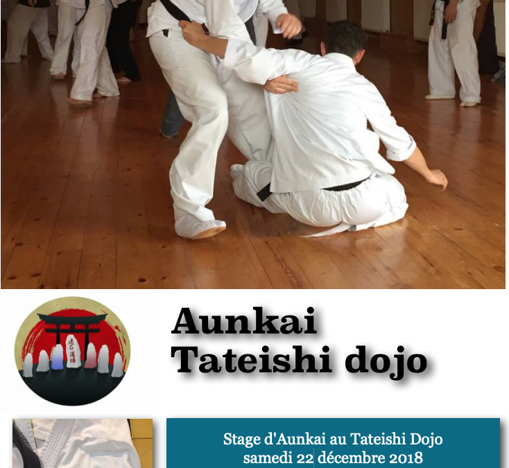 Stage au Tateishi dojo – Villars les Dombes