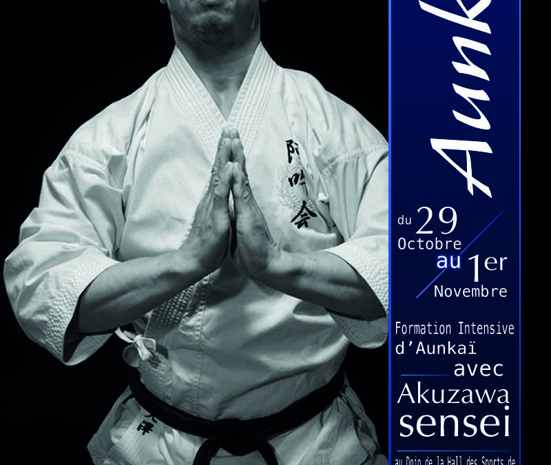 Stages Aunkai  pour la fin 2013